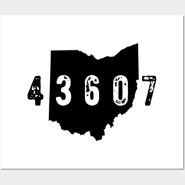43607 zip code Toledo Ohio Wall Art by OHYes